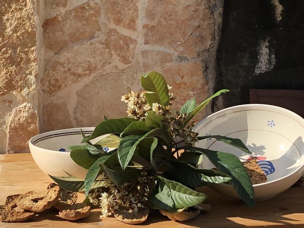 Chateaux Des Trulli San Michele Salentino Eksteriør billede